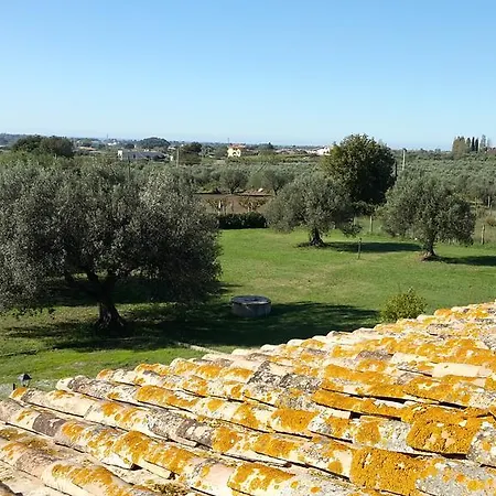 Klinai Cerveteri