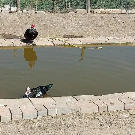 Couette-café Klinai Cerveteri