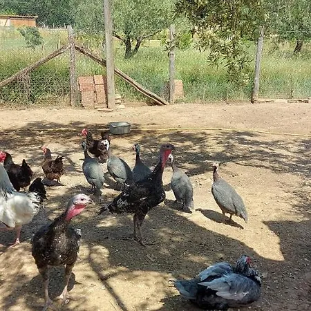 克利奈住宿加早餐旅馆 3*